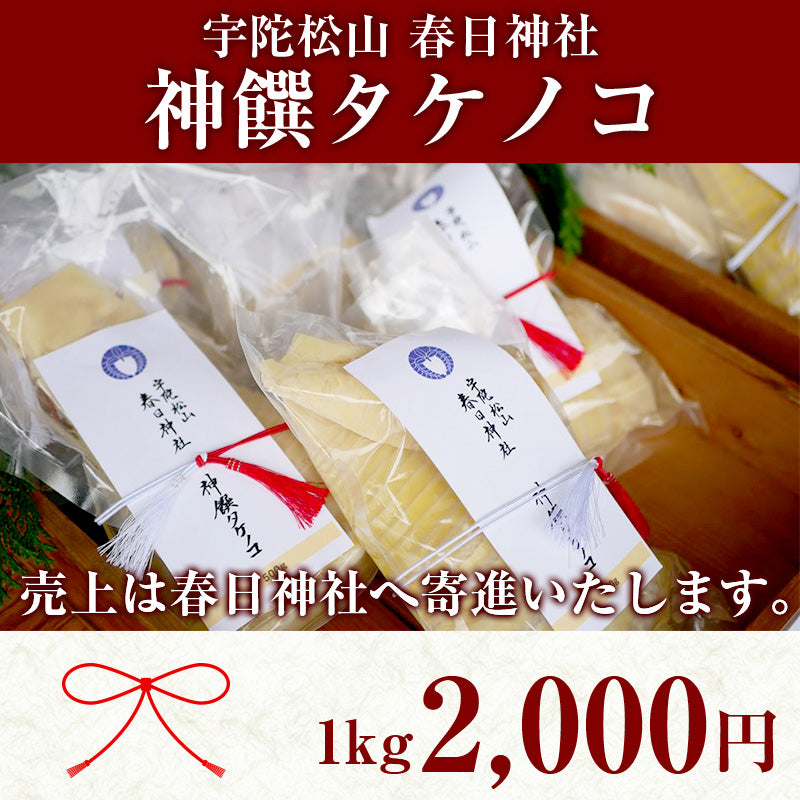 【予約受付】神饌タケノコ 1kg　【売上は春日神社に寄進いたします】