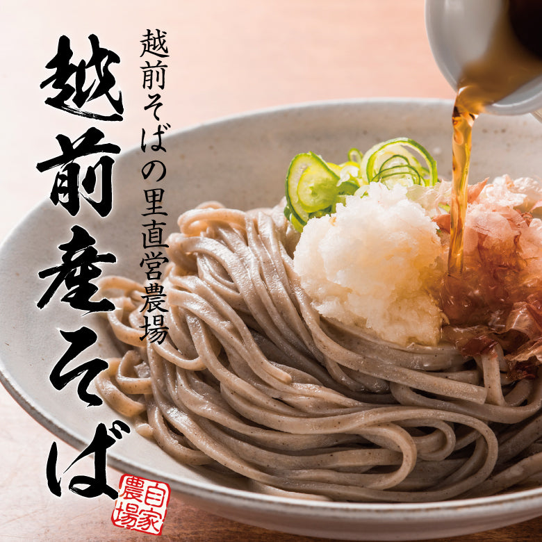 福井県産そば粉使用！越前産そば10食【そば・うどん・麺類】 越前そば