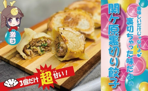 関ヶ原裏切り餃子（激甘バージョン）10個入×２パックSET　生冷凍