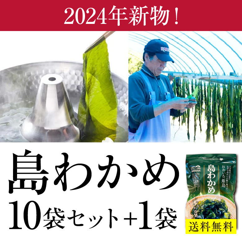 【数量限定&1袋プレゼント】長寿の島 姫島産 島わかめ 20g×10袋＋1袋