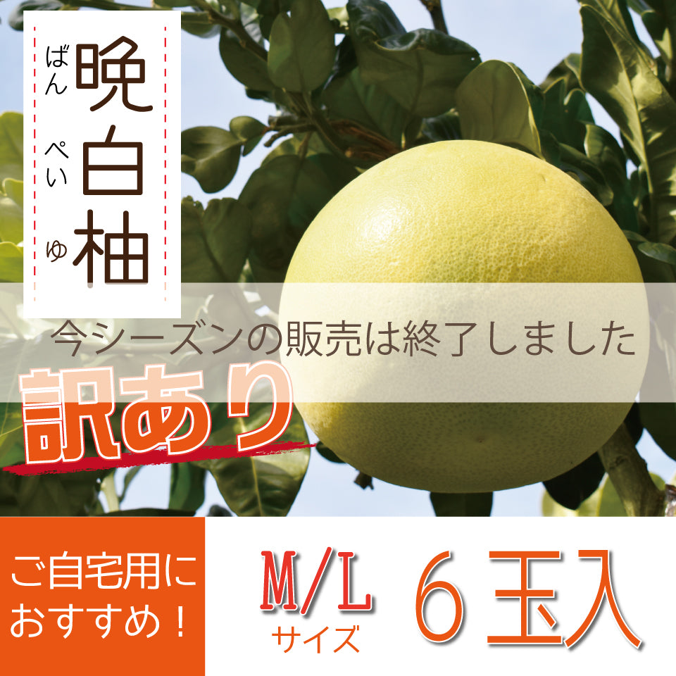 【訳あり】超お得！熊本特産品 