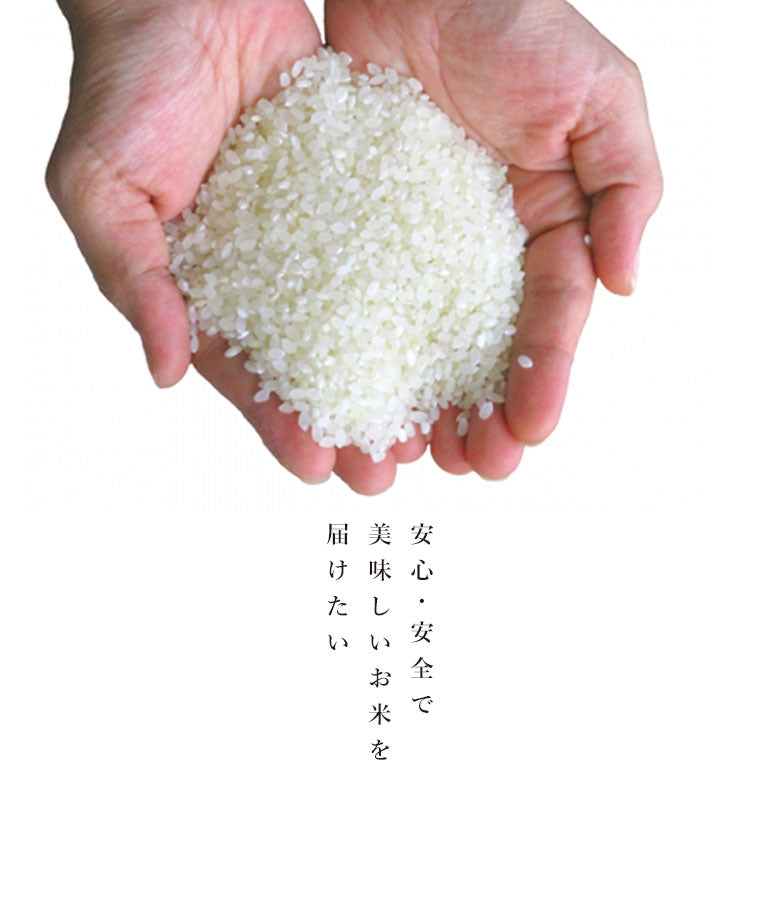 令和5年度産 新米】北海道産 おぼろづき 米 10kg 無洗米 白米 玄米