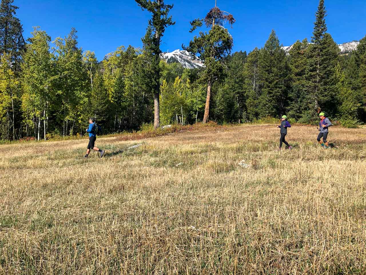 A group of people running down a trail in the mountains