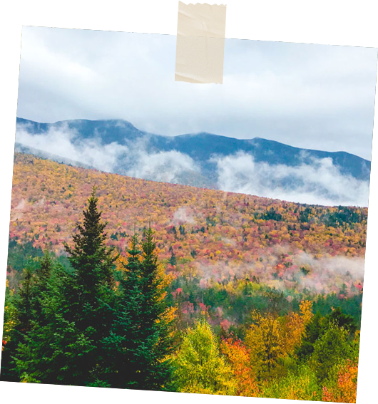 A mountain with trees in the foreground