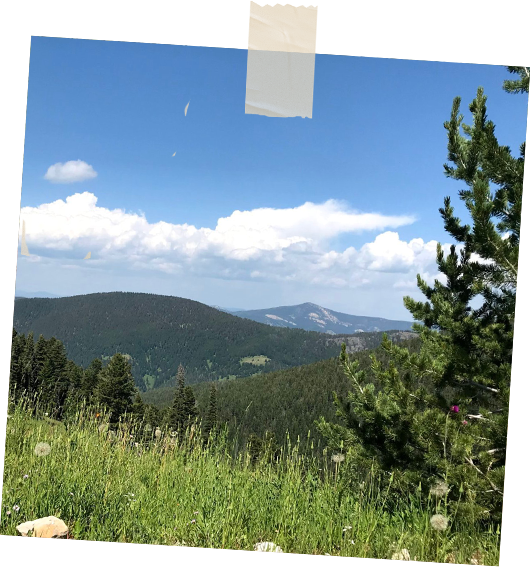 A view of a mountain range from a hill