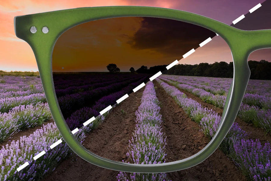 A pair of glasses with a field of lavenders in the background