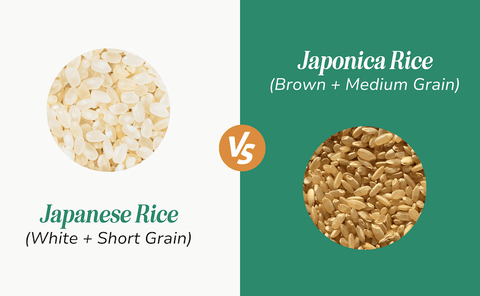 japanese white short grain rice vs. japonica brown medium grain rice