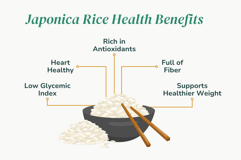 illustration of japonica rice health benefits