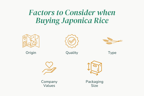 image of factors to consider when buying japonica rice