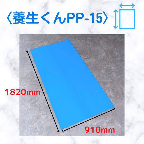 春夏新作 養生くん ＰＰ２７ ２．７ｍｍ厚 10枚入り 青ベニヤ プラベニヤ