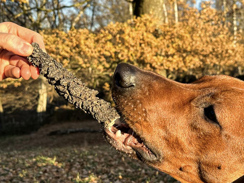 FAVLY Petfood_Rinderpansen ist ein natürlicher Snack