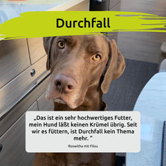 FAVLY Petfood_Hunde mit Unverträglichkeiten