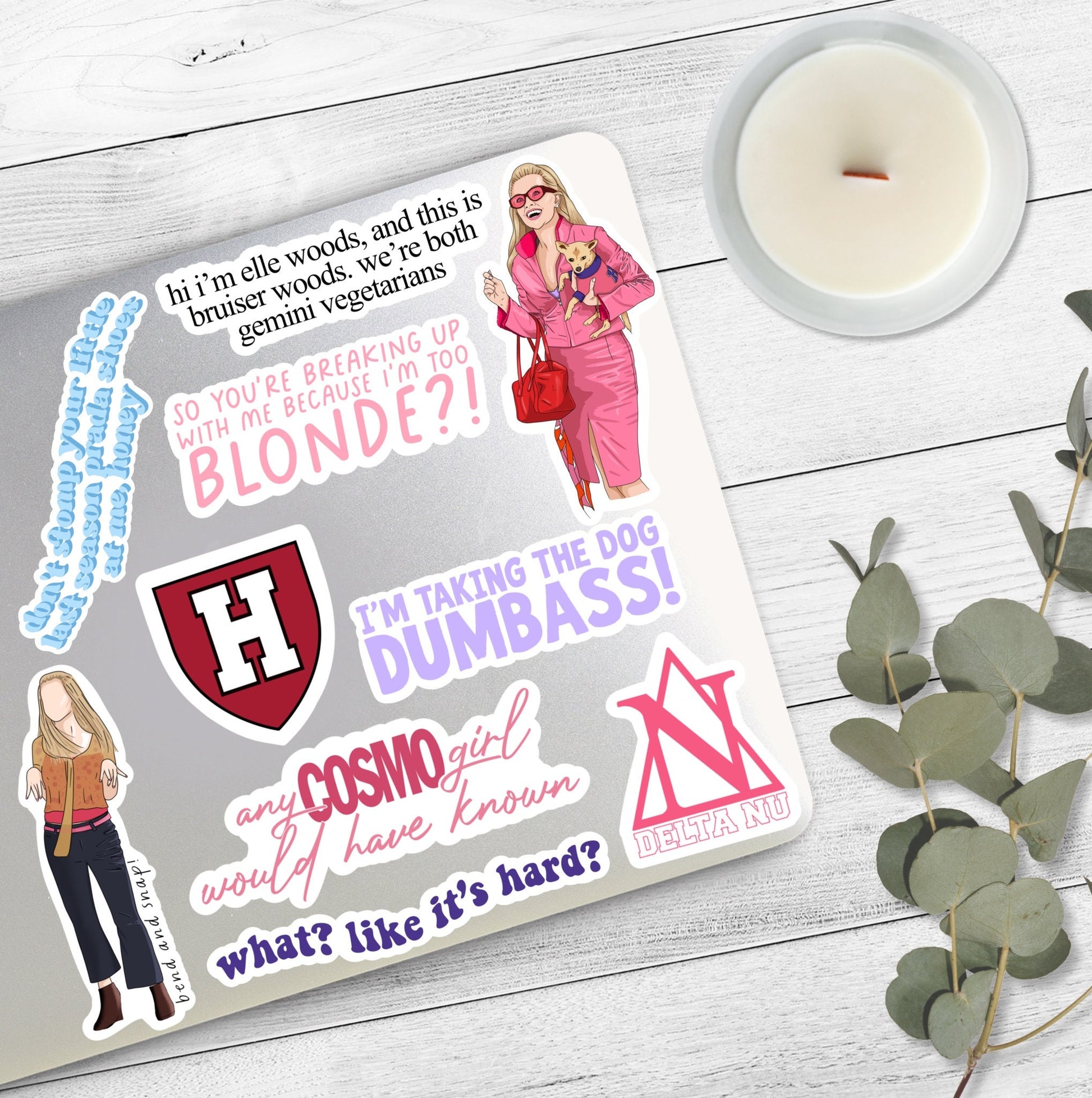Last Season Prada Shoes Sticker | Elle Woods | Legally Blonde Stickers –  Birch Studios