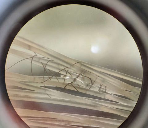 Pixelwhip fibers tangling - microscope view of hair and broken fibers