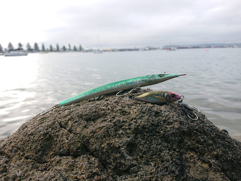 Sinking Stickbait Little Jack Sayoris 182 on A Rock