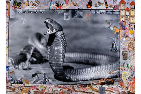 Peter Beard - Snake