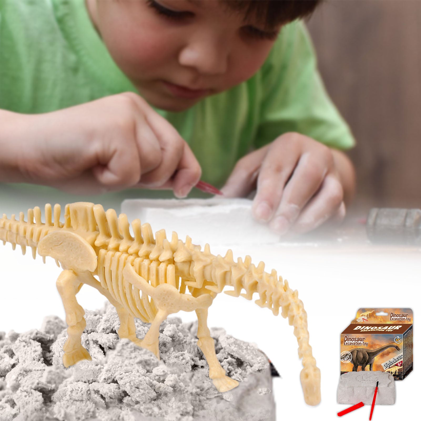 3d Dinossauro Dinossauro Kit de Escavação Fóssil Kit Educacional