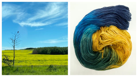 A beautiful sunny field and a skein of yarn dyed to match the colours