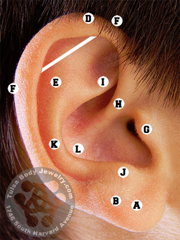 Chart Of Ear Piercings