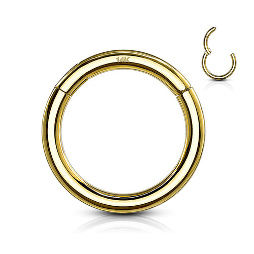 14kt Gold Twine Hinged Segment Ring |  16g (1/4 - 6mm)