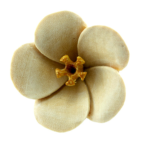 Bali Blossom Plugs by Urban Star Organics