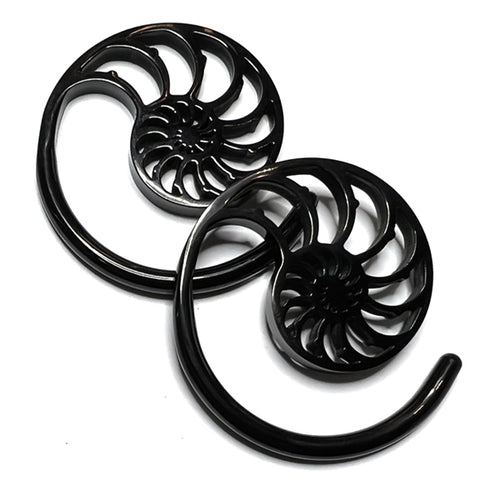 Ammonite Black Spirals