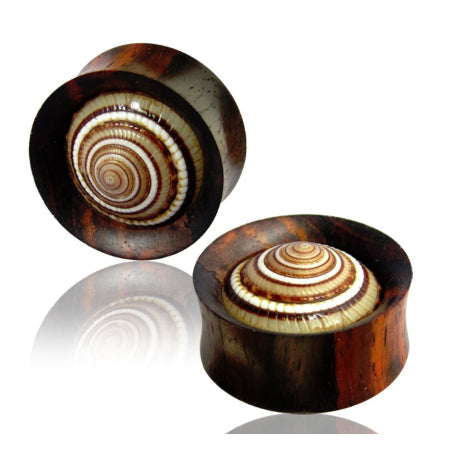 Cone Shell Inlay Narra Wood Plugs