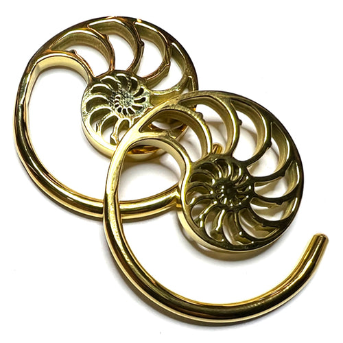 Ammonite Gold Spirals