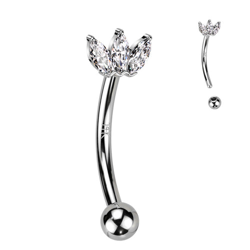 Crown CZ White 14k Gold Eyebrow Barbell