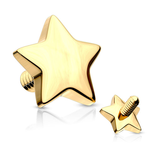 14g Star Yellow 14k Gold End