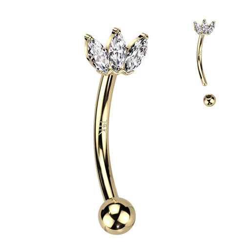 Crown CZ Yellow 14k Gold Eyebrow Barbell