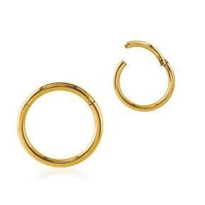 10g Gold Hinged Segment Ring