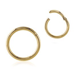16g Zircon Gold Hinged Segment Ring