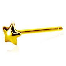 Gold Rounded Star Nostril Pin