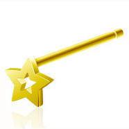 Gold Star Outline Nostril Pin