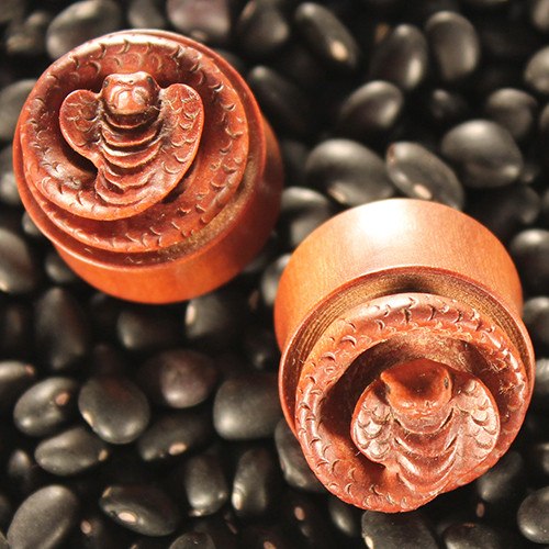 Cobra Plugs by Urban Star Organics