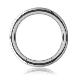 18g Stainless Segment Ring