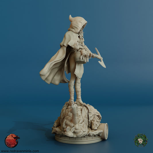 Vampire Hunter D – Crimson Raven Miniatures