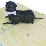 Black Labrador Retriever 3D Pop Up Card UK