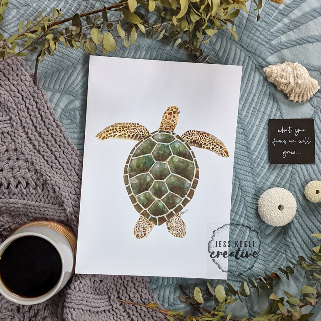 JKC x KRUBI - Tommy, the Sea Turtle – Jess Keeli Creative