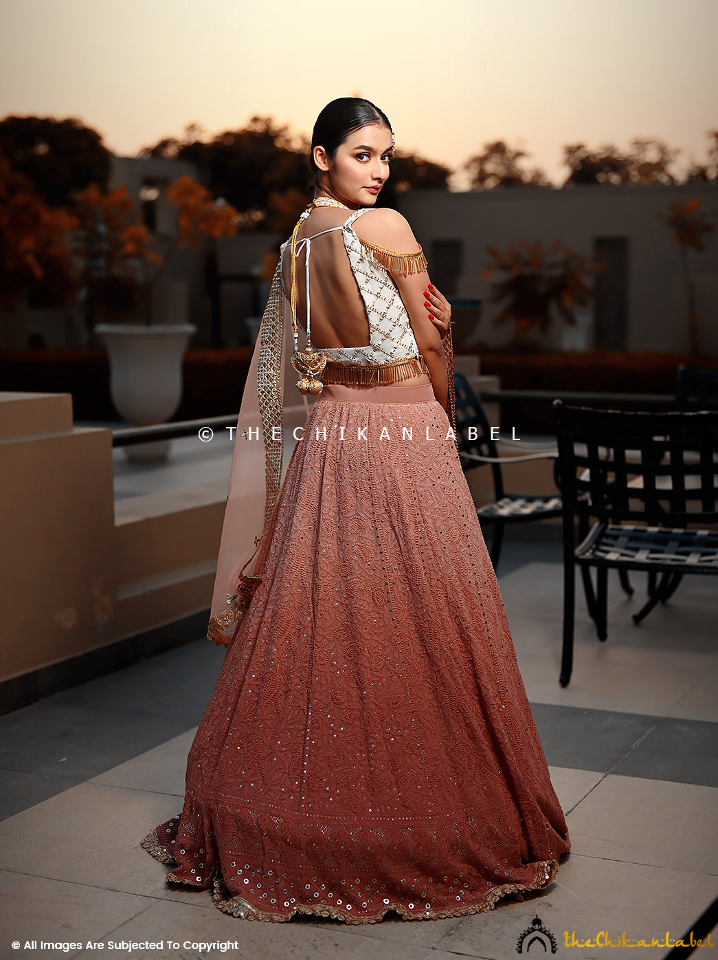 Light Pink Chikankari Lehenga Set – Vaishali Agarwal