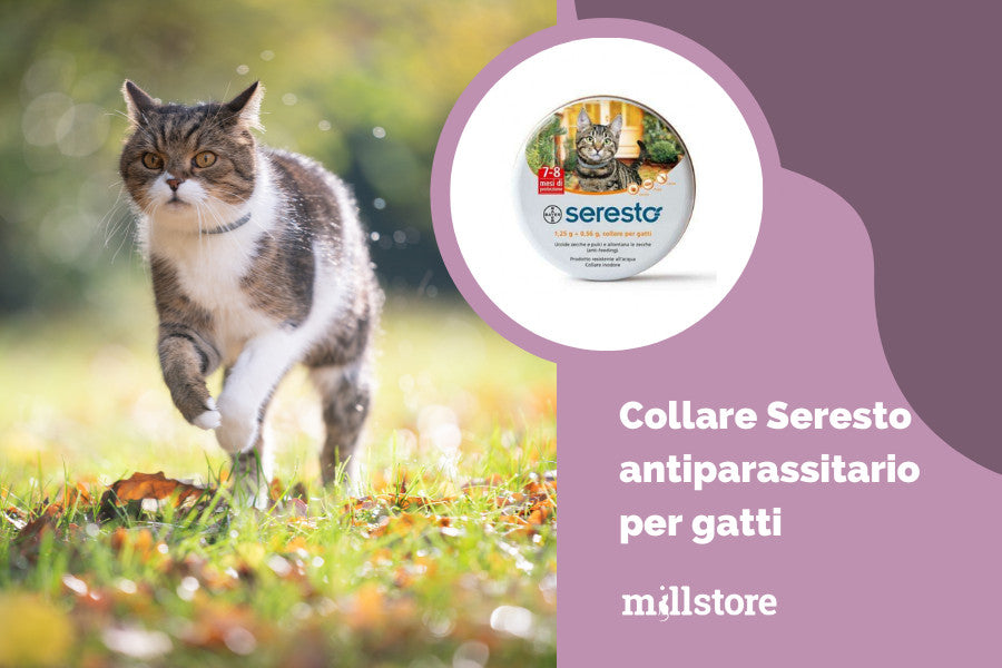 Collare antiparassitario per gatti