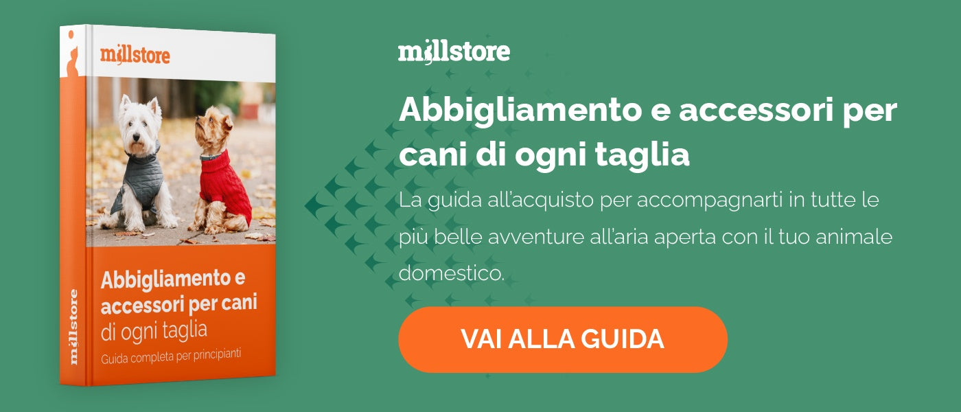 Abbigliamento e accessori per cani di ogni taglia