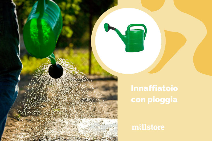 innaffiatoio - attrezzi per lavorare la terra