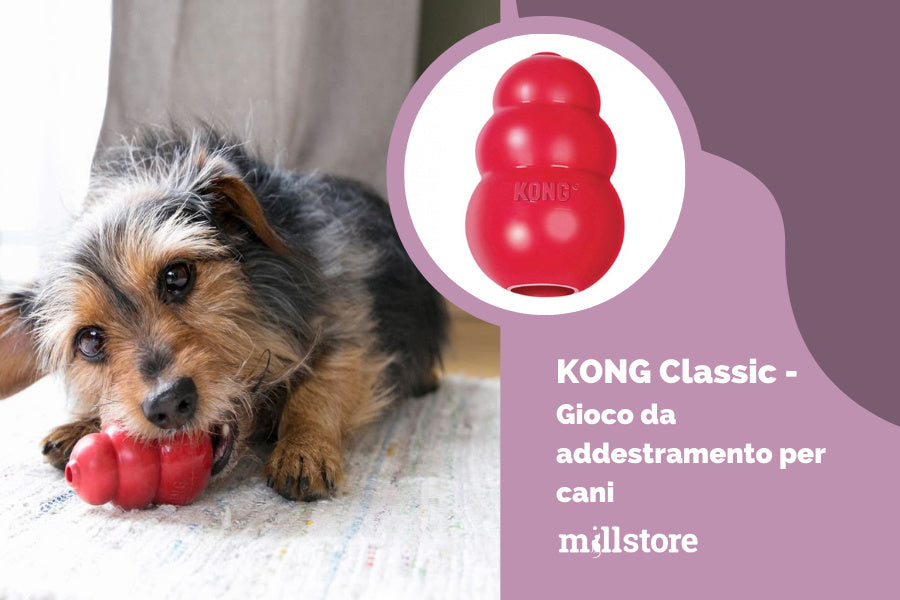 kong classic addestramento cani