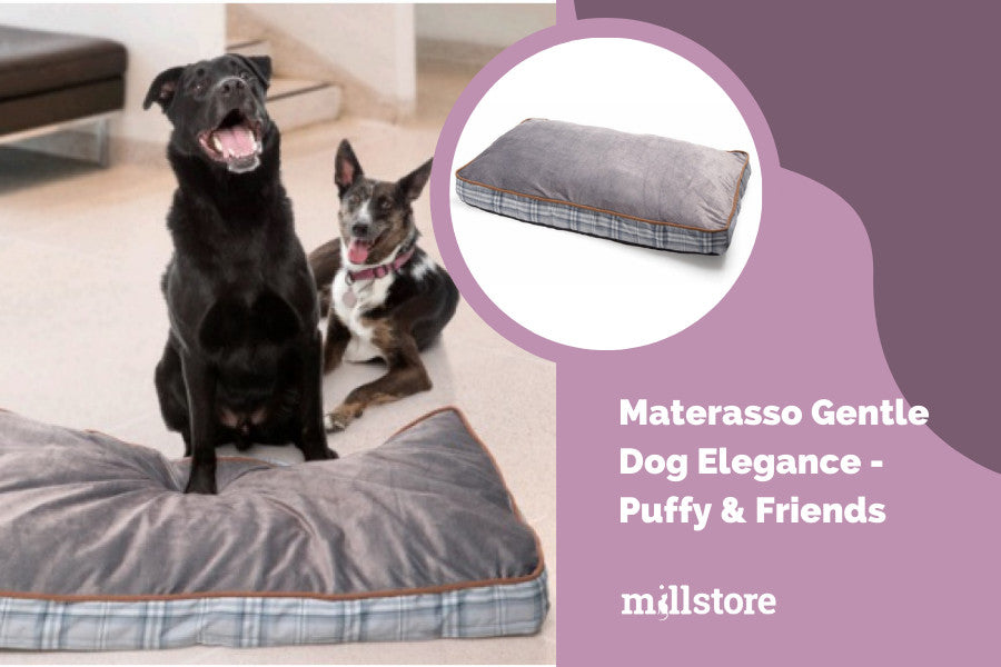 materasso gentle dog elegance