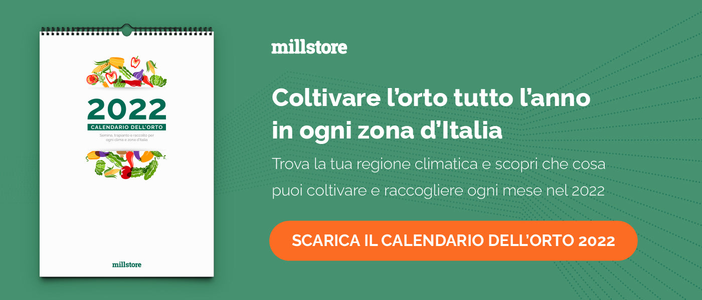 Scarica il calendario dell'orto 2022