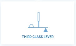 3rd class lever calculator