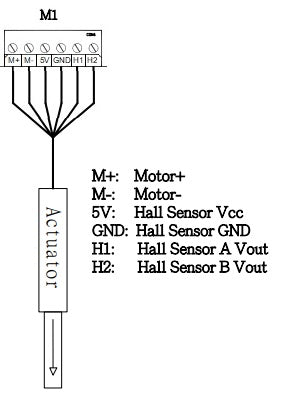 Actuator feedback wiring