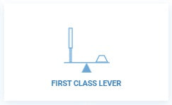 First-Class Lever calculator